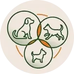 Relações Saudáveis entre Cães