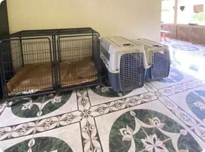 Caixas de descanso individuais organizadas