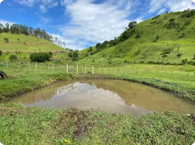Ambiente natural com lago