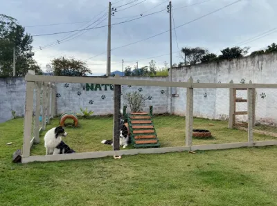 Gramado amplo com obstáculos de agility