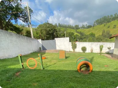 Gramado amplo com obstáculos de agility